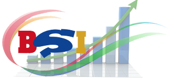 Business Solution International